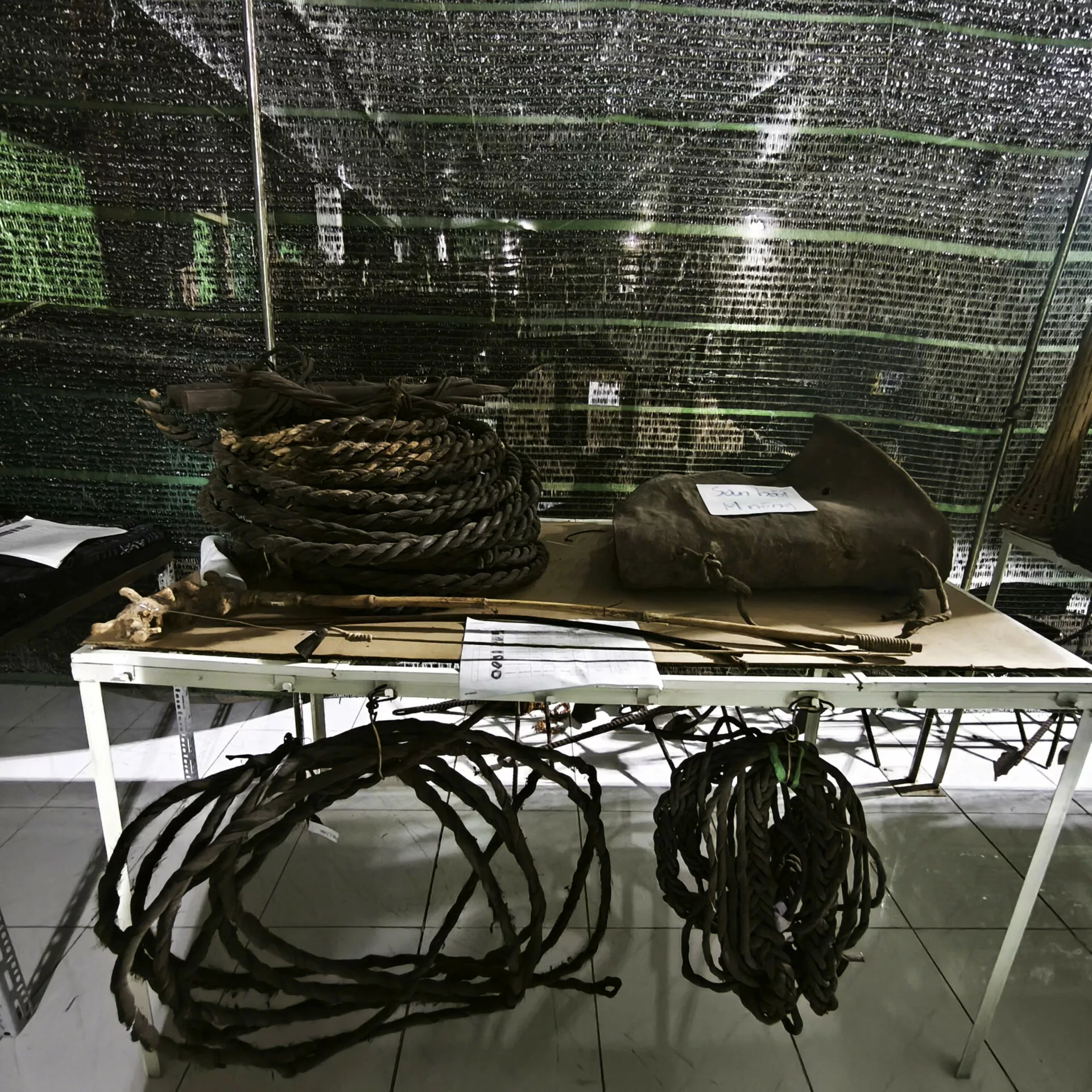 Săn bắt M’Nông